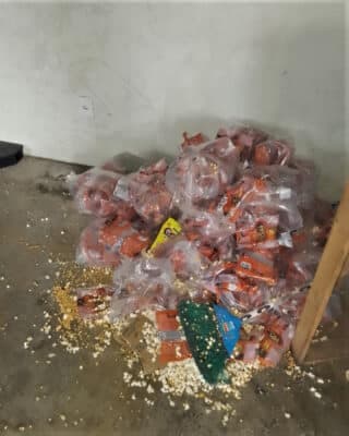 A Vigilância Sanitária de Maceió (Visa) interditou no Poço, uma fábrica de pipocas em condições insalubres de funcionamento - Foto Internet A Vigilância Sanitária de Maceió (Visa) interditou no Poço, uma fábrica de pipocas em condições insalubres de funcionamento - Foto Internet