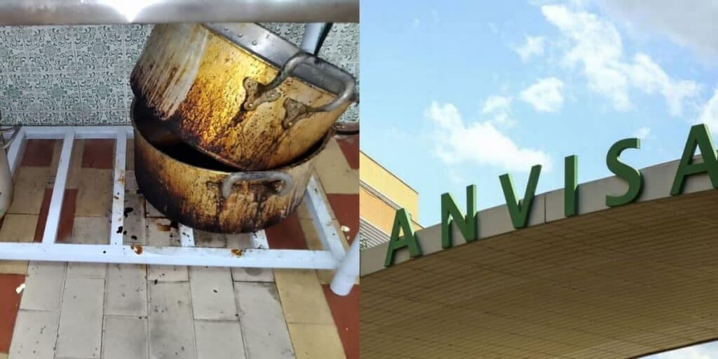 Fezes de rato, baratas e ordem da ANVISA: A interdição urgente da Vigilância contra fábrica alimentícia