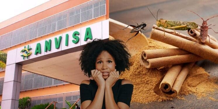 Pedaços de inseto: A Anvisa decretou a retirada de 3 marcas de canela dos mercados devido à contaminação