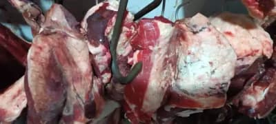 Carnes estavam sendo armazenadas de forma irregular - CREDITO CAMPO GRANDE NEWS Carnes estavam sendo armazenadas de forma irregular - CREDITO CAMPO GRANDE NEWS