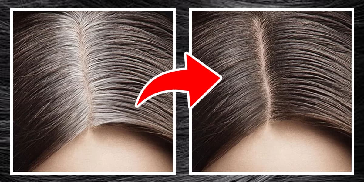 Ingrediente para cobrir os fios brancos e escurecer o cabelo naturalmente (Foto: Reprodução, Montagem - TV Foco) Ingrediente para cobrir os fios brancos e escurecer o cabelo naturalmente (Foto: Reprodução, Montagem - TV Foco)