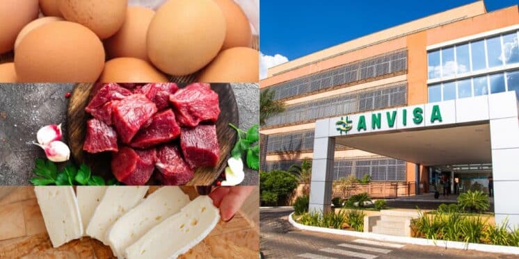 Ovos, carne e queijo: Decreto e retirada urgente da ANVISA contra 3 marcas dos mercados devido à contaminação