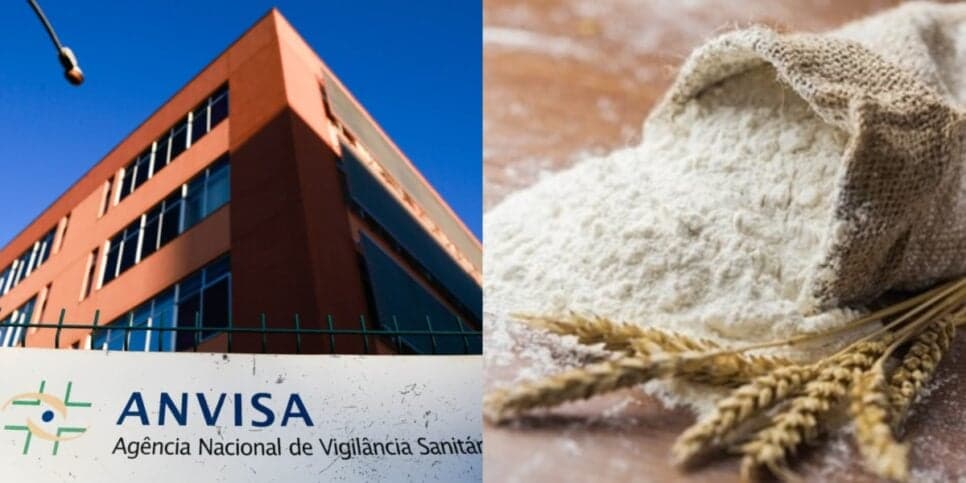 Pelo de rato: A marca de farinha arrancadas dos mercados pela Anvisa, confirmada pelo jornal da Globo, e situação agora