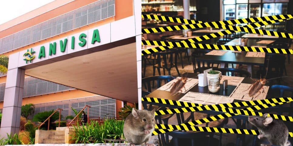 Barata, nojeira e 300kg de comida podre: A interdição da Anvisa contra 3 restaurantes queridinhos de SP
