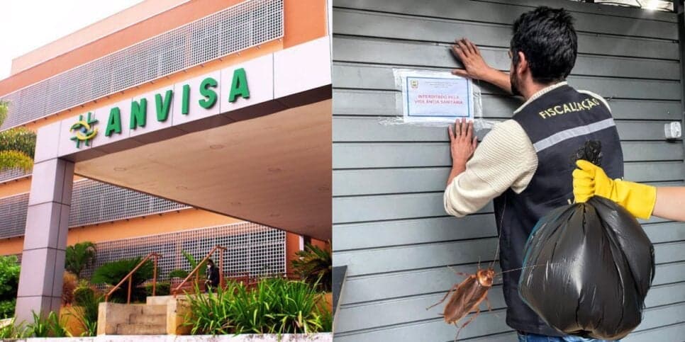 Lixo, barata e nojeira: A interdição da Anvisa contra 2 restaurantes queridinhos e populares de SP às pressas