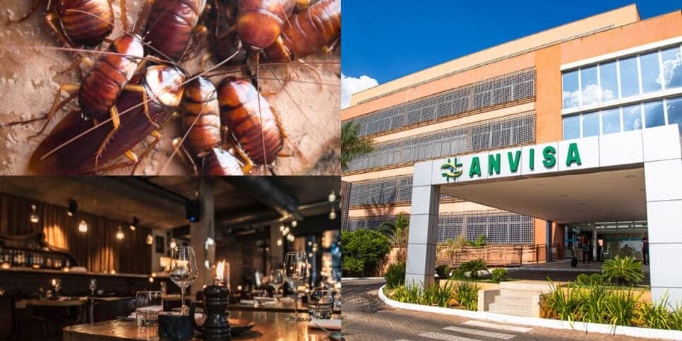 Baratas, comida vencida e decreto da ANVISA: O fechamento urgente de 2 restaurantes amados dos shoppings