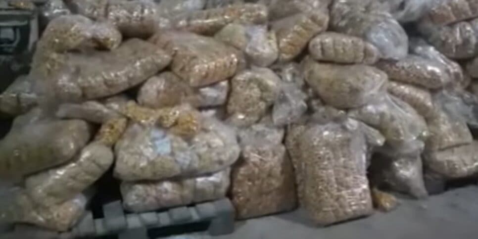 Biscoitos armazenados de forma irregular proximo a veneno para ratos (Foto: Reprodução/ Internet) Biscoitos armazenados de forma irregular proximo a veneno para ratos (Foto: Reprodução/ Internet)