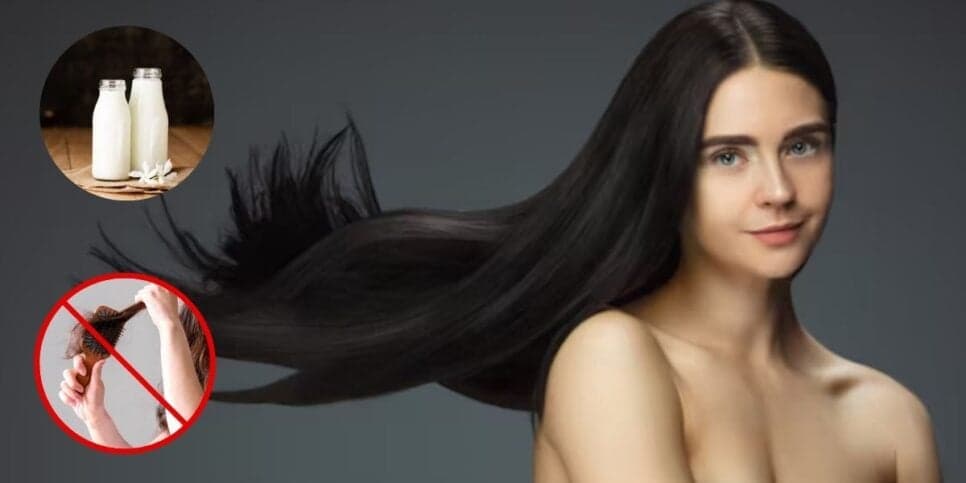 http://tvfoco.uai.com.br/wp-content/uploads/2015/05/Daniela-Mercury.jpg http://tvfoco.uai.com.br/wp-content/uploads/2015/05/Daniela-Mercury.jpg