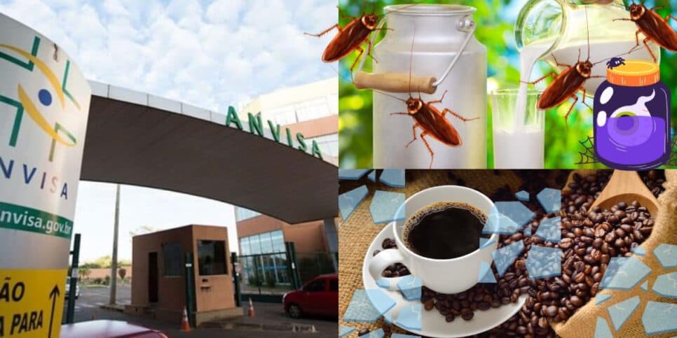 Formol e barata dentro de leite e café com vidro: A proibição da ANVISA contra 3 populares do Brasil por NOJEIRA
