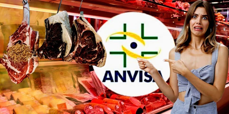 10 toneladas de carne podre, larvas e nojeira: A interdição urgente da ANVISA contra 5 açougues de rede em SP