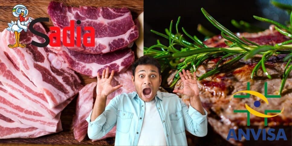 Proibição da Anvisa, à beira da falência e compra colossal da Sadia: 3 bombas do mundo das carnes
