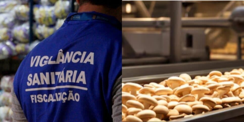 Fábrica de biscoitos interditada pela Vigilância Sanitária (Foto: Reprodução/ Internet) Fábrica de biscoitos interditada pela Vigilância Sanitária (Foto: Reprodução/ Internet)
