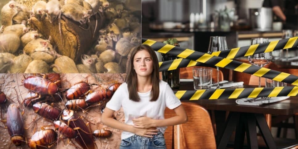 Infestação de ratos e baratas: Restaurante popular é lacrado pela 5ª vez com flagra de nojeira pela Vigilância