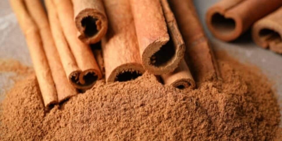 Tempero famoso, a canela em pó, banida dos mercados nos EUA (Foto: Divulgação) Tempero famoso, a canela em pó, banida dos mercados nos EUA (Foto: Divulgação)