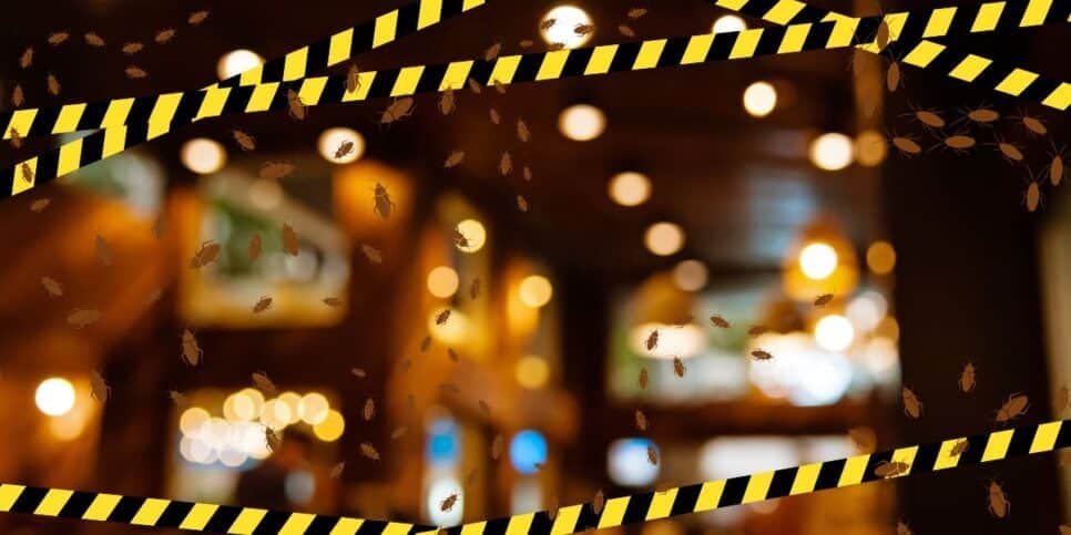 Vigilância Sanitária apreende restuarante com infestação de baratas (Reprodução - Internet) Vigilância Sanitária apreende restuarante com infestação de baratas (Reprodução - Internet)
