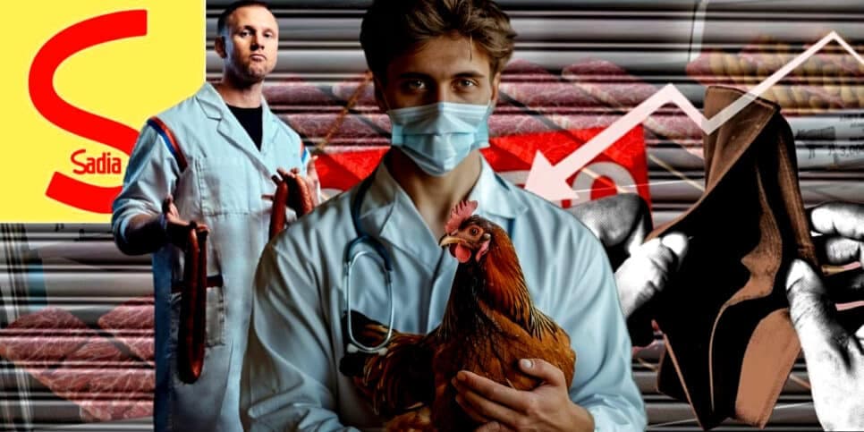 Morte de 7 milhões de aves, dívida de R$1 bi e falência: O triste fim de empresa tradicional rival da Sadia