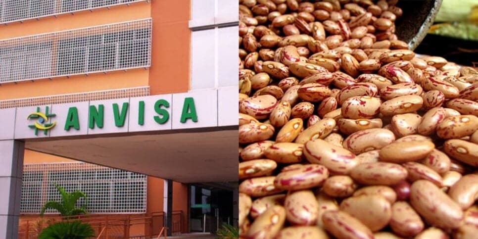Venda proibida e risco à saúde: Marca de feijão é arrancada das prateleiras com urgência pela Anvisa