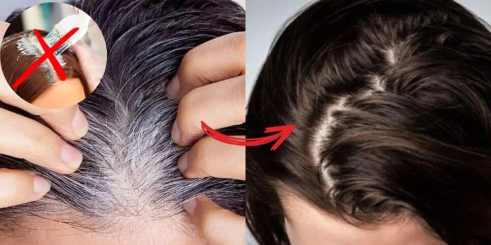 ADEUS cabelo branco: Tinta caseira com 2 ingredientes traz FIM do grisalho e te deixa 20 anos mais jovem