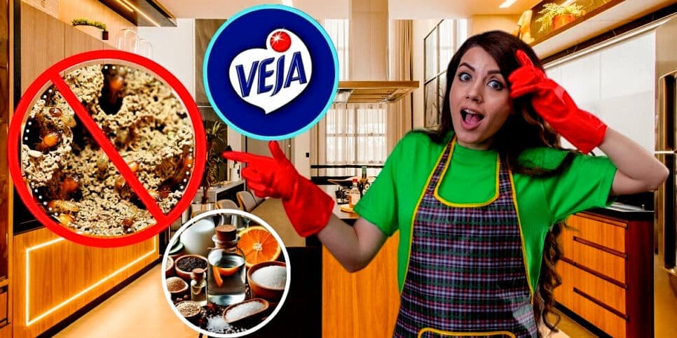 Mais potente que Veja: Mistura com 6 ingredientes deixa móveis limpos como nunca e extermina qualquer cupim