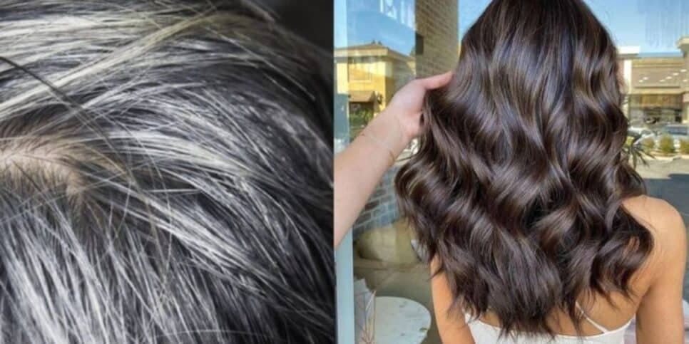 Fim do grisalho e sem retoque: Ingrediente natural traz tinta mais potente para dar adeus ao cabelo branco
