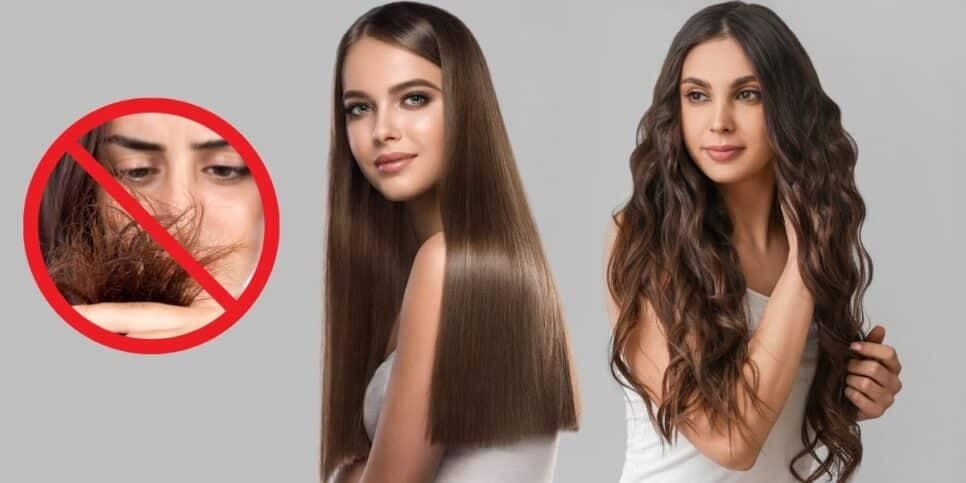 Ingredientes para ajudar no crescimento e a hidratar o cabelo (Fotos: Reproduções / Canva) Ingredientes para ajudar no crescimento e a hidratar o cabelo (Fotos: Reproduções / Canva)