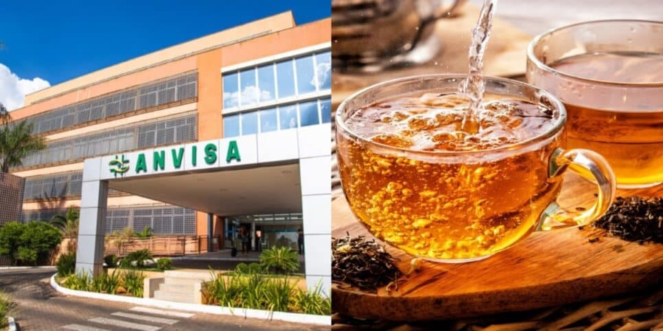 Partes de animais: Proibição da ANVISA contra 15 chás populares das 50+ por risco FATAL traz adeus a mercados