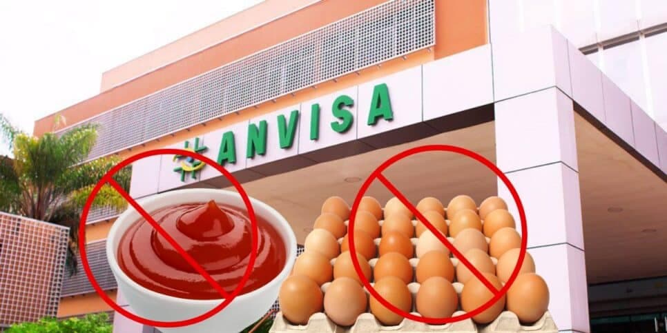 Vômito e diarreia: Anvisa faz proibição contra 3 marcas de molho, ovo e +1 popular por flagra de bactéria fatal