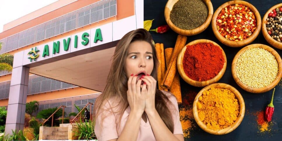 Vai te fazer vomitar: Anvisa faz proibição contra marca de tempero, rival da Knorr, queridinho das donas de casa