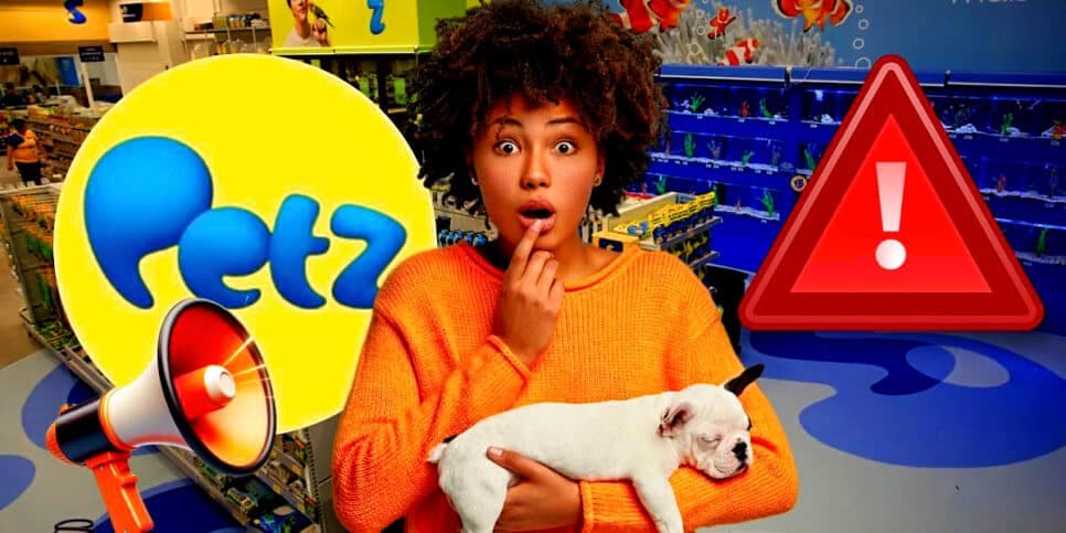 "Tomamos uma decisão": O fim de serviço popular da Petz no Brasil e 82 unidades atingidas diante de escândalo