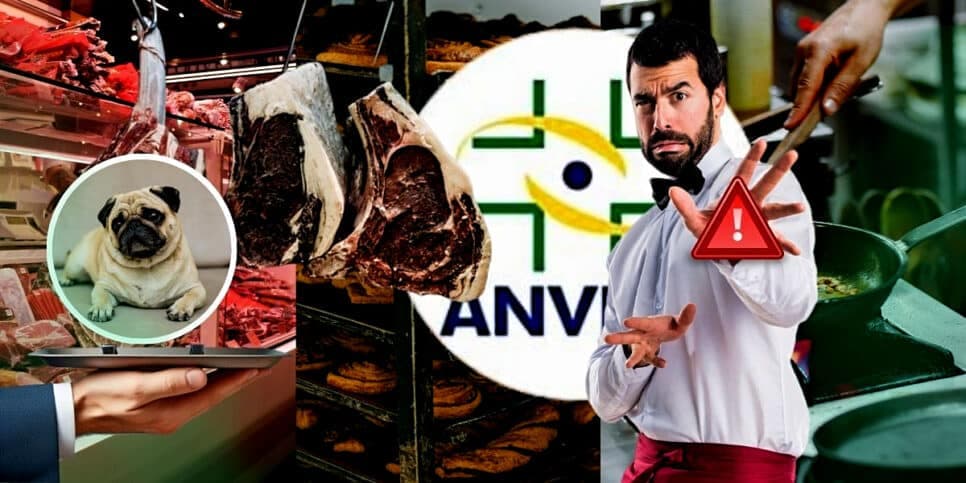 Carne de cachorro e nojeira: O decreto da Anvisa contra açougue, padaria e restaurante de shopping