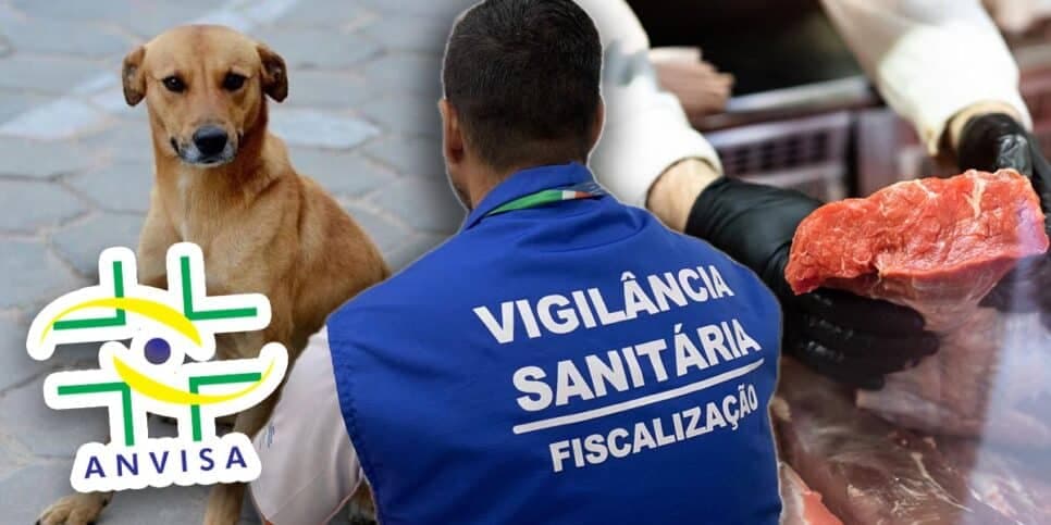 Carne de cachorro, pombo e nojeira: ANVISA lacra açougue e +2 gigantes