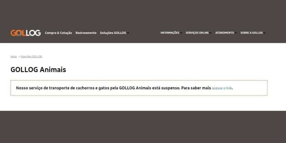 Imagem do post Imagem do post