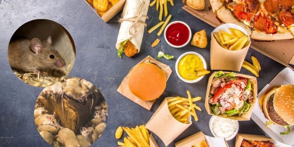 Rede de fast-food tão popular quanto o McDonald's é lacrada por flagra de nojeira
