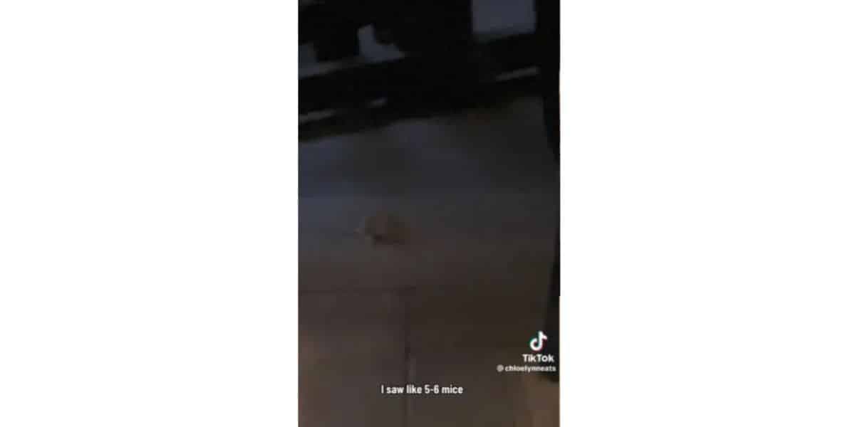 http://tvfoco.uai.com.br/wp-content/uploads/2015/05/Daniela-Mercury.jpg http://tvfoco.uai.com.br/wp-content/uploads/2015/05/Daniela-Mercury.jpg