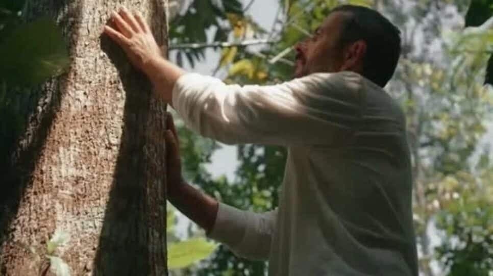 José Inocêncio em contato com o Jequitibá na novela (Foto: Reprodução/ TV Globo) José Inocêncio em contato com o Jequitibá na novela (Foto: Reprodução/ TV Globo)