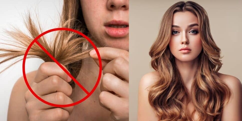 Nada de corte: 5 passos infalíveis para recuperar até o último fio de cabelo quebrado e ressuscitar da UTI