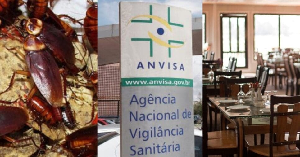 Infestação de baratas: Jornal da Band confirma fechamento histórico de 4 restaurantes após proibição da Anvisa