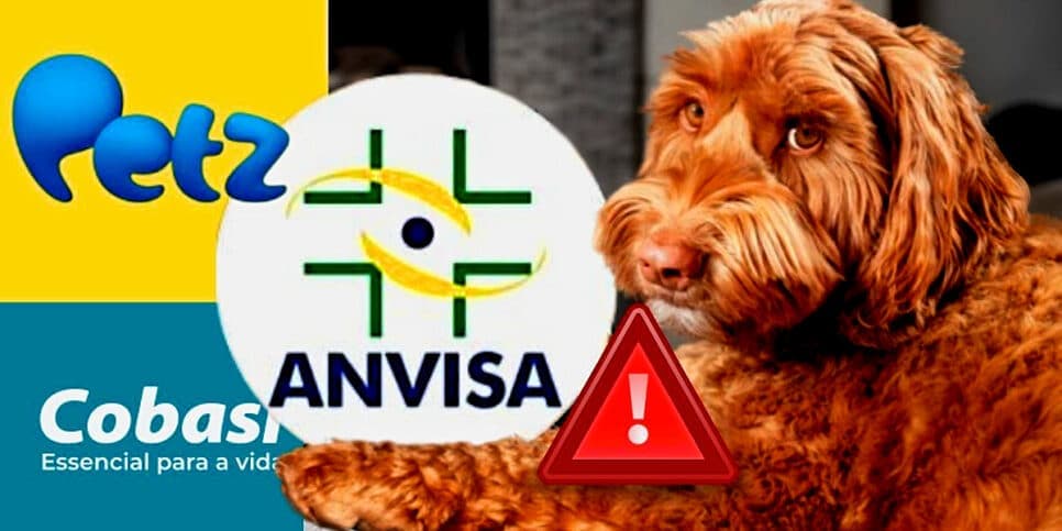 Petz, Cobasi e mais: Comunicado da ANVISA traz novo decreto que atinge todos os petshops do Brasil