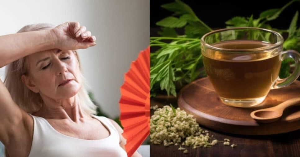 Fim do calor insuportável: Chá milagroso com 1 único ingrediente popular alivia a menopausa das 40+