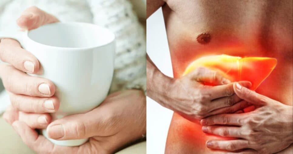 Chá com 3 ingredientes elimina o colesterol ruim dos idosos 60+ (Foto: Reprodução/ Internet) Chá com 3 ingredientes elimina o colesterol ruim dos idosos 60+ (Foto: Reprodução/ Internet)