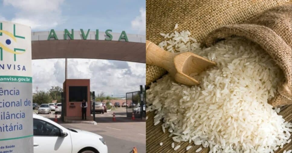 Veneno no seu prato: Comunicado emergencial da ANVISA traz descoberta alarmante em arroz e +1 popular