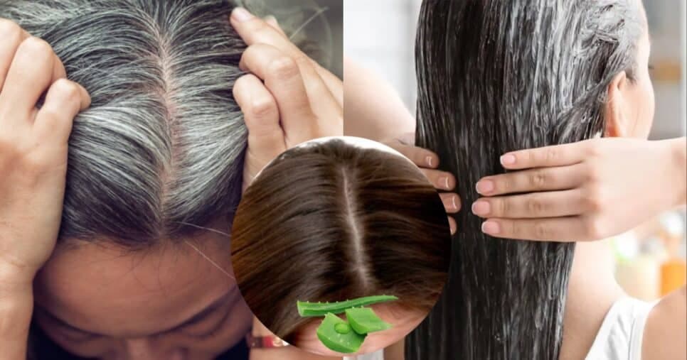 Elimina o grisalho sem química: Tinta natural com Aloe Vera e +3 ingredientes aniquila o cabelo branco