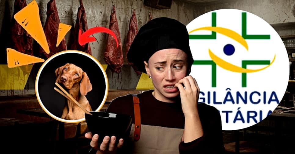 Carne de cachorro e nojeira: Interdição da Vigilância Sanitária contra 3 restaurantes apavoram clientes em SP
