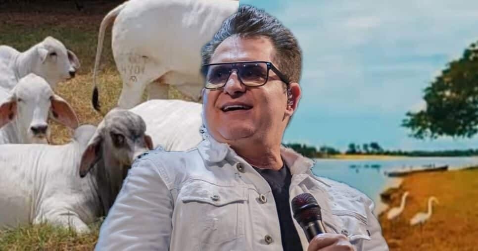 Lago, cabeças de gado e maior que shopping: Fazenda Favo de Mel, de Marrone, é a mais absurda e fotos provam