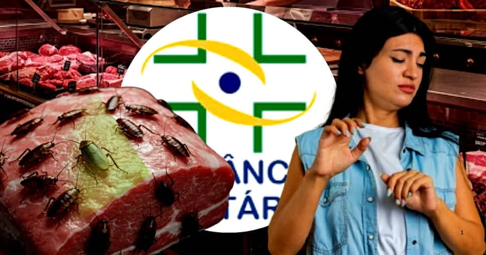 Carne com barata e nojeira: Interdição da Vigilância Sanitária contra açougue n°1 abala clientes