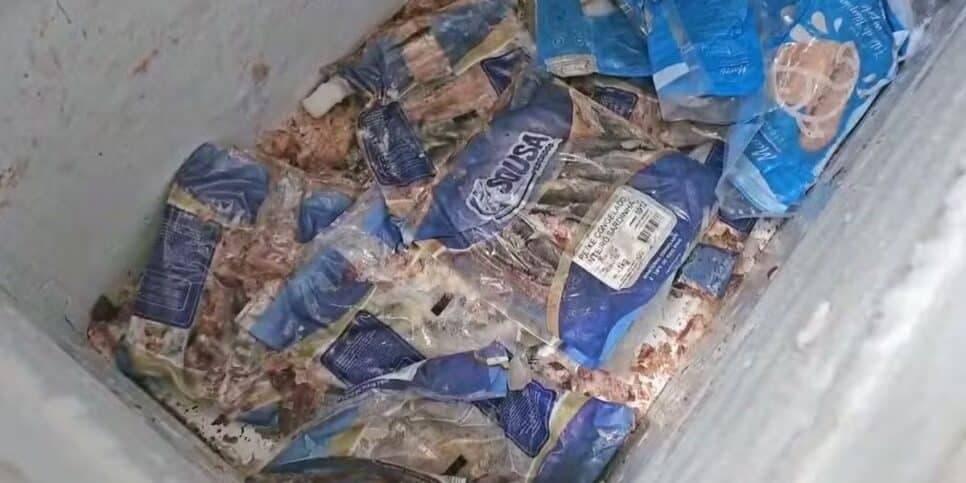 Carne imprópria para consumo em Três Rios (Foto: Reprodução / Globo) Carne imprópria para consumo em Três Rios (Foto: Reprodução / Globo)