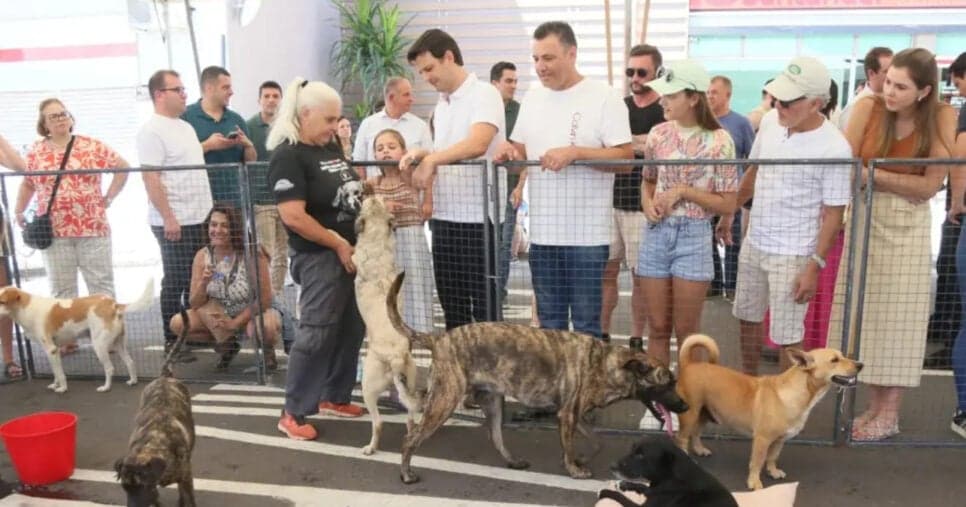 Moradores de Curitiba celebram nova lei Moradores de Curitiba celebram nova lei