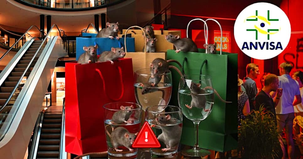 Shoppings, restaurantes e bares: Infestação de ratos explode em SP e ANVISA acende alerta