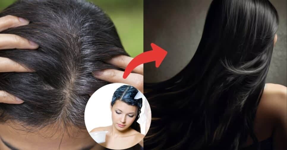 Tinta 100% natural e sem amônia: Misturinha com 2 ingredientes ressuscita a cor do cabelo branco das 55+