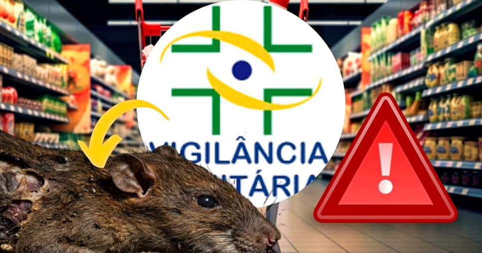 Rato em decomposição: Atacadista n°1 sofre interdição e liga alerta da Vigilância Sanitária em São Luís, MA